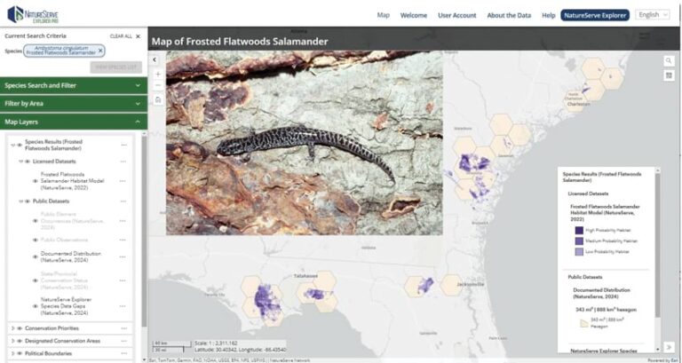 To better understand and monitor biodiversity changes in the United States + Canada, @NatureServe is collaborating with more than 60 programs spread across the two countries to collect data on various plant and animal species. 🌱🐾 ow.ly/XgNk50Vobng