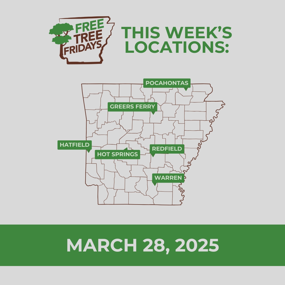 Free Tree Fridays continue this week! Seedlings will be available on a first-come, first-served basis from 11 a.m. to 1 p.m., or until supplies run out.

Learn more: agriculture.arkansas.gov/forestry/urban…