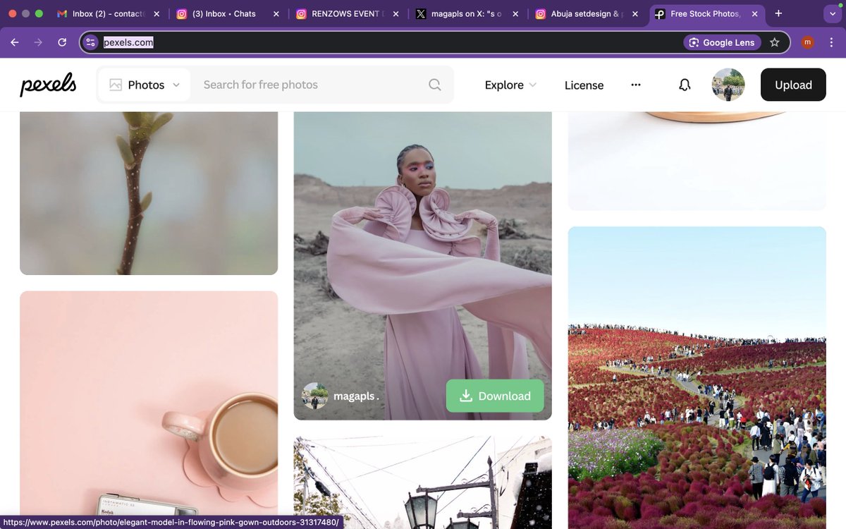 maga envulanza tweet media