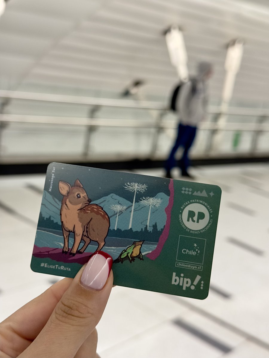 MAÑANA LIBERAMOS AL PUDÚ 🦌