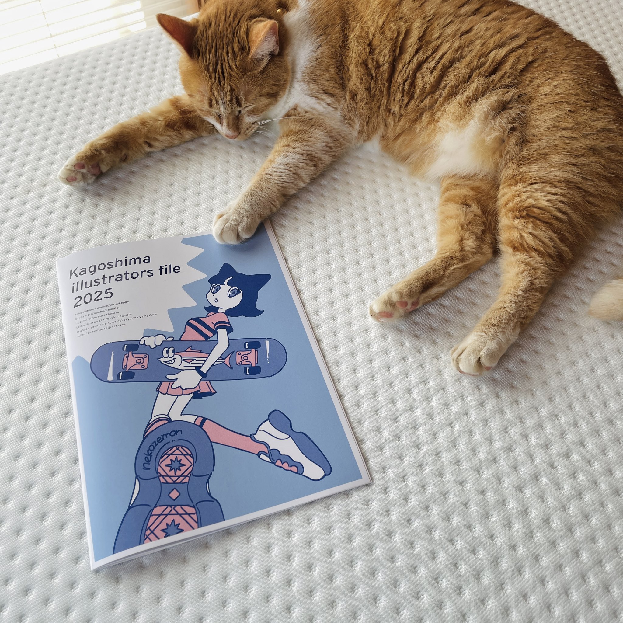 ねこぜもん on X: 