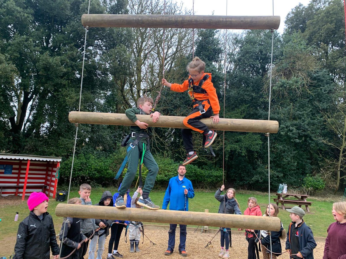 BVS Year 4 tweet media