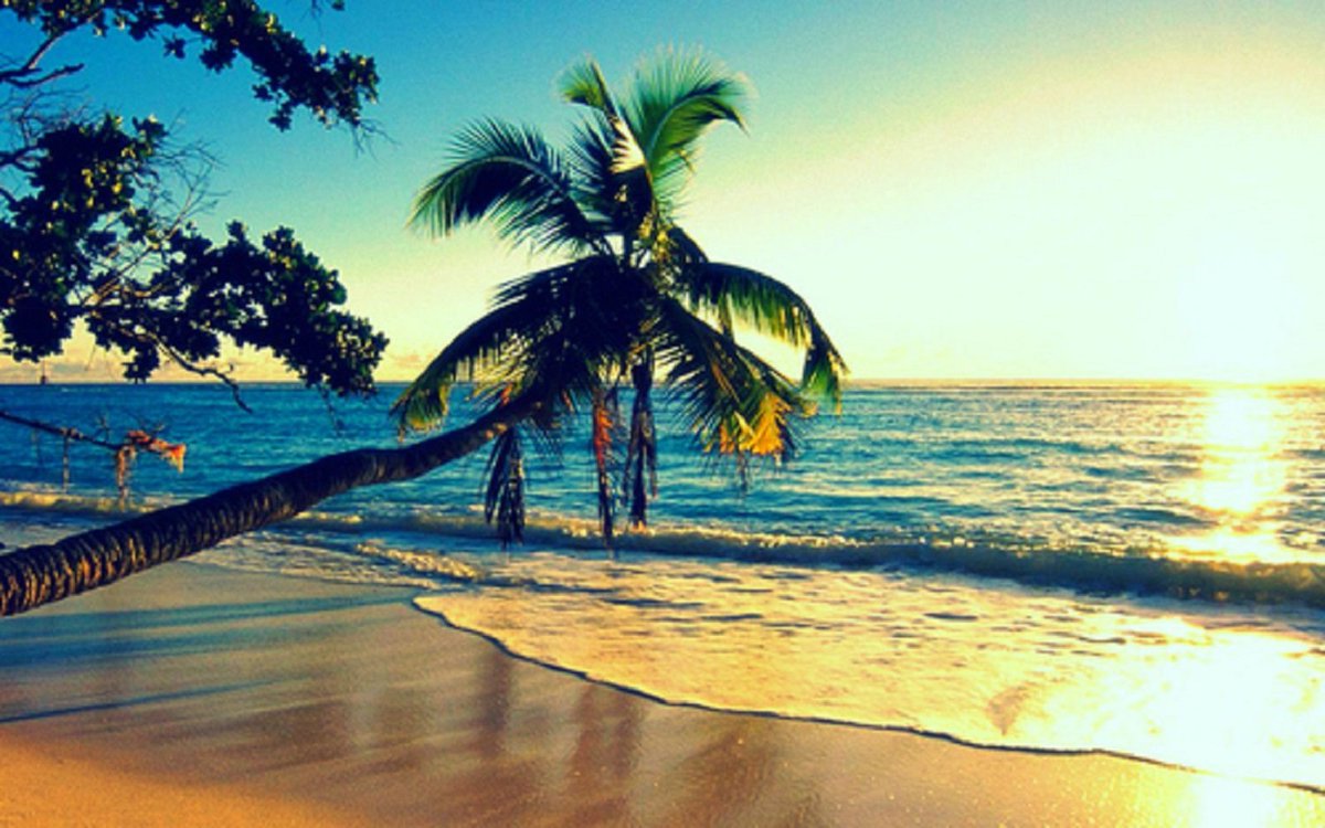 David Achon II (@achon_ii26538) on Twitter photo 