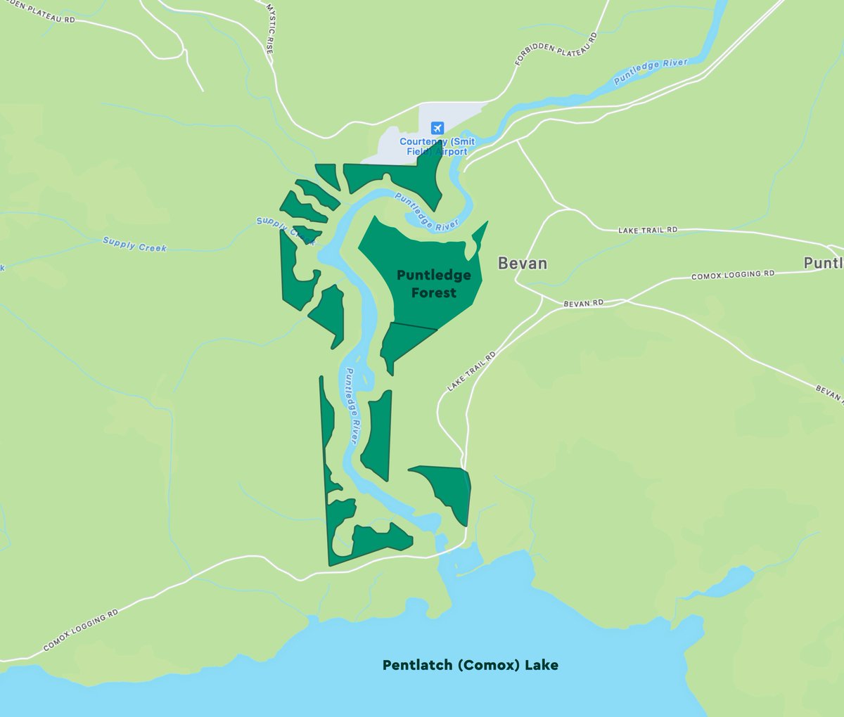 We’re thrilled to share another big win for conservation! Thanks to an extraordinary community effort, the final 37 hectares of Puntledge Forest are now protected forever.

This 100-hectare biodiversity treasure was previously at risk of logging, and this announcement means the