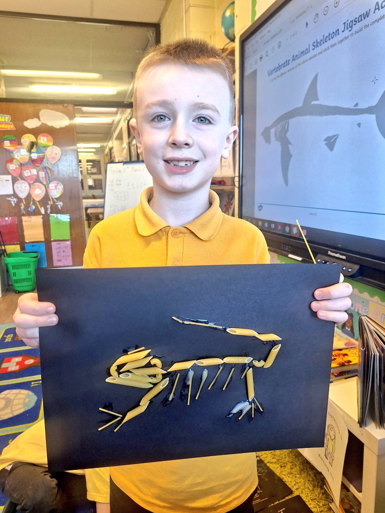 wlstnicholasps1's tweet image. P3/2 were learning about &apos;vertebrates&apos; and &apos;invertebrates&apos;. We created the skeletons of some animals with back bones. #sciencestnics #metaskillsstnics