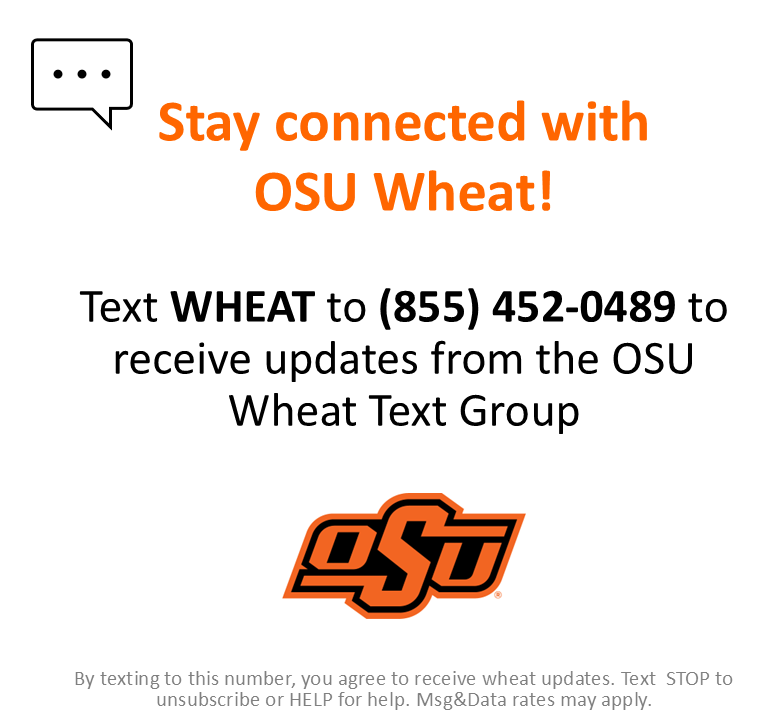 OSU_smallgrains's tweet image. 🚀We have launched the OSU Wheat Text group to share wheat updates!
🗒️To subscribe and receive updates from the wheat team via text, simply text "wheat" to (855) 452-0489
🌾You can also send us questions and field observations.
To unsubscribe, text "STOP"