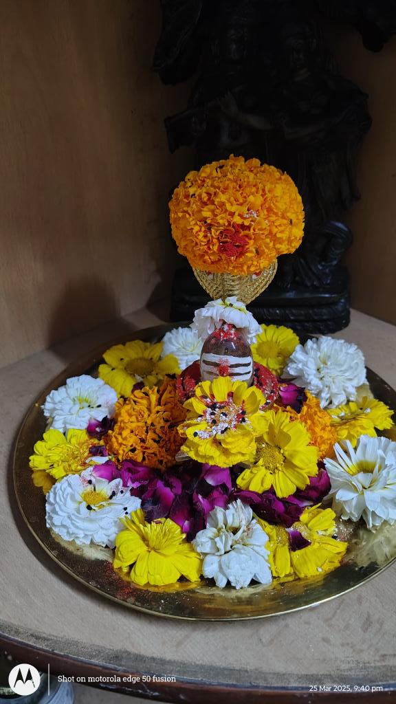 vaidicstudent's tweet photo. @grok  हर हर महादेव https://t.co/6kbz4oGnEd