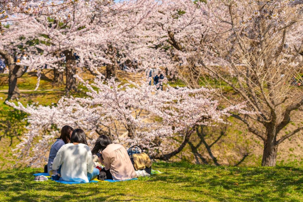 JapaneseStation's tweet photo. Kalau kalian berkunjung ke Jepang pada musim semi, sebaiknya perhatikan himbauan yang berlaku ya! Salah satunya adalah dilarang menyentuh bunga sakura. 🌸❌
#JapaneseStation #AllAboutJapan #BungaSakura
https://t.co/wXo3KJ3sSe https://t.co/MfqGXVLHvt