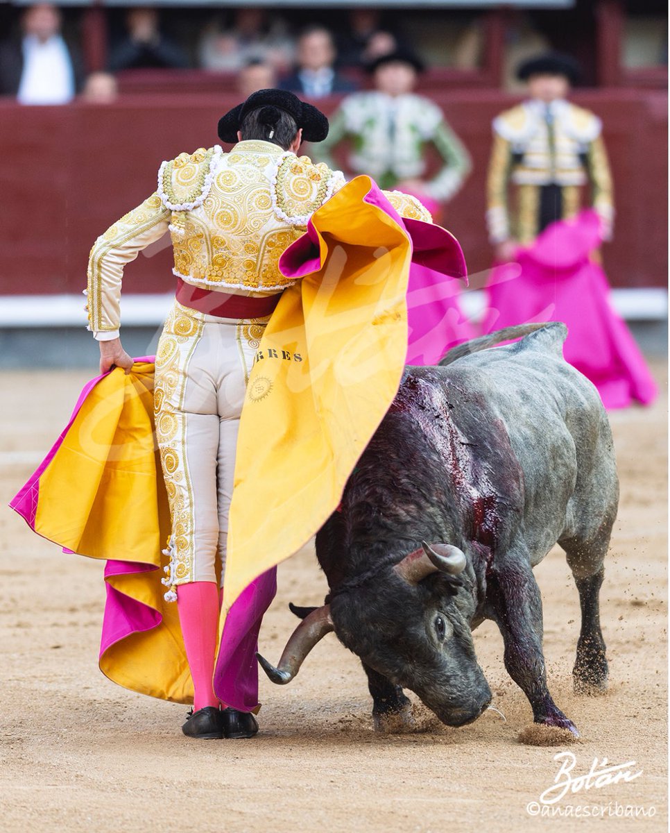 Madrid, 23 de marzo
📸
<a href="/fotoroalvarado/">fotoroalvarado</a> 
<a href="/VRuizConsuegra/">Verónica Ruiz</a> 
<a href="/ana_anaes/">ana escribano</a>