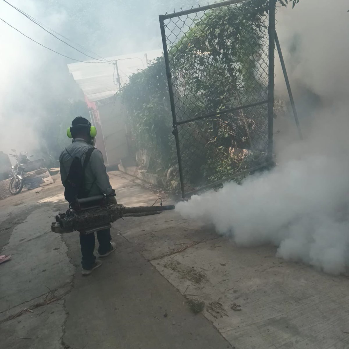 🚫🦟 Llevamos a cabo una jornada de fumigación en el 📍Col. Vilanova, para evitar la proliferación del zancudo transmisor de enfermedades. 

#SaludComunitaria #Fumigación