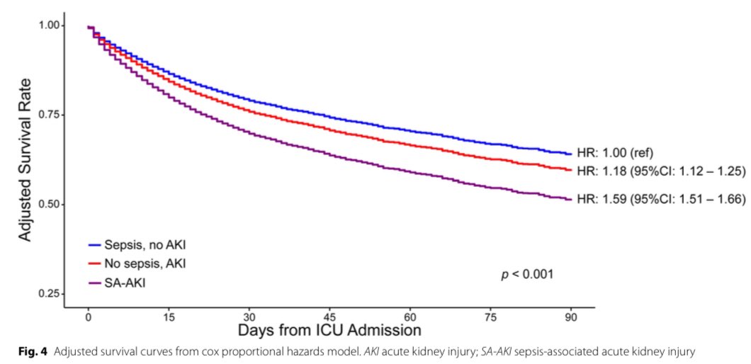 Jonathan Chávez (@jonathannefro) on Twitter photo En la terapia intensiva con sepsis, el 46% desarrollo lesión renal aguda, este evento se asoció a ↑59% el riesgo de morir, el 25% de ellos fallece en hospital
<a href="/javo_neyra/">Javier Neyra</a>
Critical Care 2025
doi.org/10.1186/s13054… En la terapia intensiva con sepsis, el 46% desarrollo lesión renal aguda, este evento se asoció a ↑59% el riesgo de morir, el 25% de ellos fallece en hospital
<a href="/javo_neyra/">Javier Neyra</a>
Critical Care 2025
doi.org/10.1186/s13054…