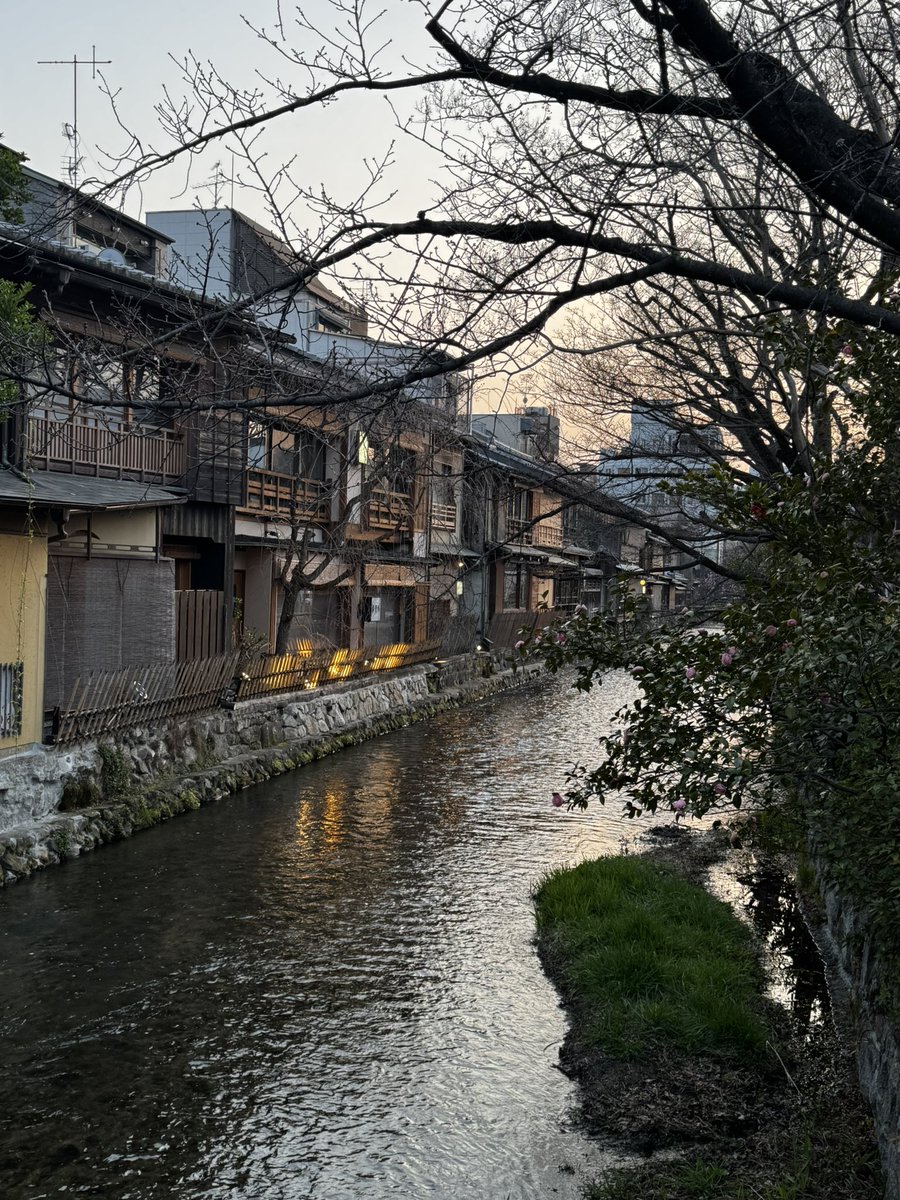niccodriver's tweet image. Hey @PhilRosenthal this is our first trip out of the United States. I chose Japan thanks to the Kyoto episode. So of course we went to Nishiki Market and it was so incredible! #kyoto #somebodyfeedphill