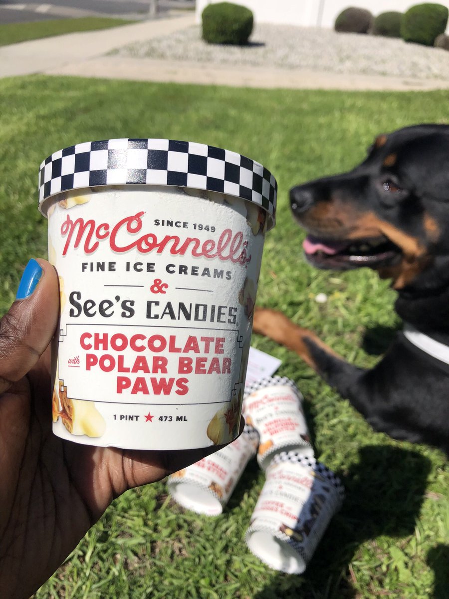 AlwaysEating__'s tweet image. So @mccsicecream and @seescandies are back up to re-release their four collaborative ice cream flavors!!
 
Last summer, this iconic limited-edition line proved to be McConnell’s most popular flavors to date, and now they’re back by popular demand!

#icecream #SummerVibes #iconic