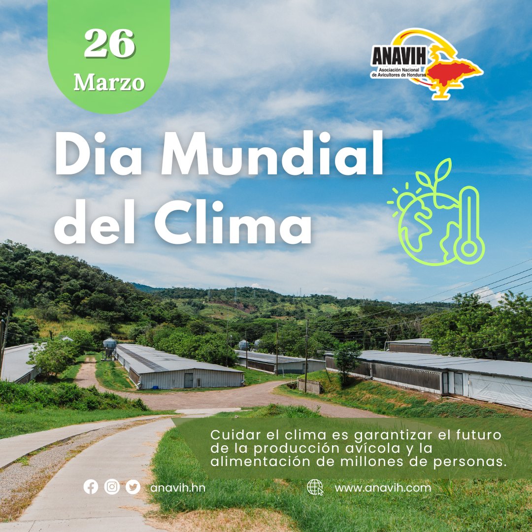 🌍🍃🌳 #DíaMundialdelClima y su Impacto en la Avicultura 🐔
Cuidar el clima es garantizar el futuro de la producción avícola y la alimentación de millones de personas. 💛♻️

#DíaMundialDelClima #AviculturaSostenible #CuidemosElPlaneta 🐔🌿
#Honduras #ANAVIH #Avicultura