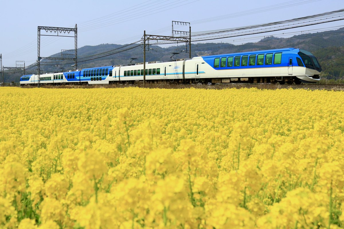 jiro29992718's tweet photo. #菜の花　
天気が良かったので菜の花を求めて行ってきました。ピークは少し過ぎていましたが、まだまだ綺麗でした。ご一緒した皆様お疲れ様でした。 https://t.co/ItsiuJvK12