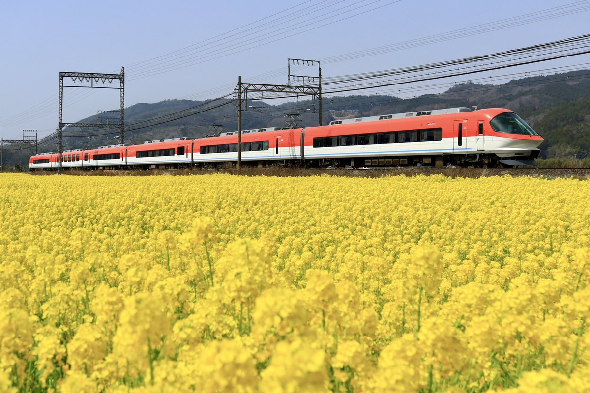 jiro29992718's tweet photo. #菜の花　
天気が良かったので菜の花を求めて行ってきました。ピークは少し過ぎていましたが、まだまだ綺麗でした。ご一緒した皆様お疲れ様でした。 https://t.co/ItsiuJvK12