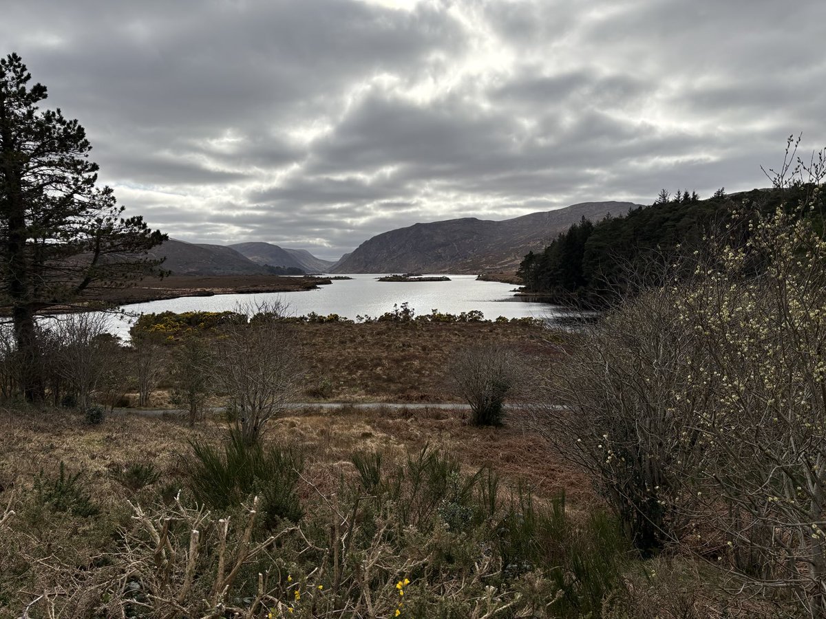 easondavidb's tweet photo. Glenveagh National Park and  Castle Co Donegal Ireland https://t.co/zY5JPdUXSP