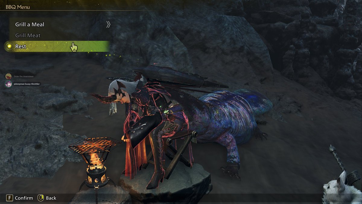 lunethary's tweet photo. why this Gelidron trying to eat my ass https://t.co/8BFMmVymdR
