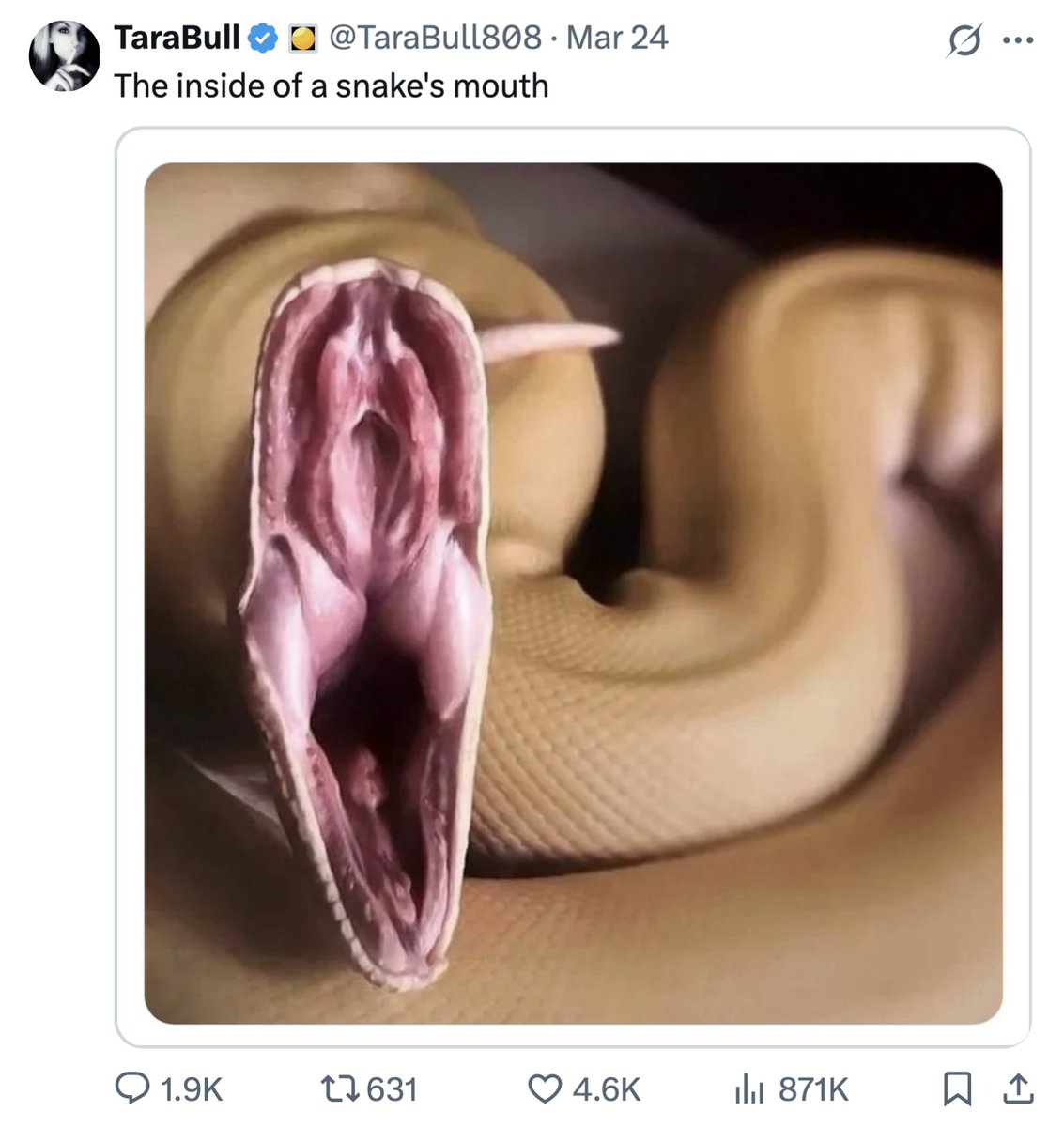 Animal Welfare 24/7 tweet media