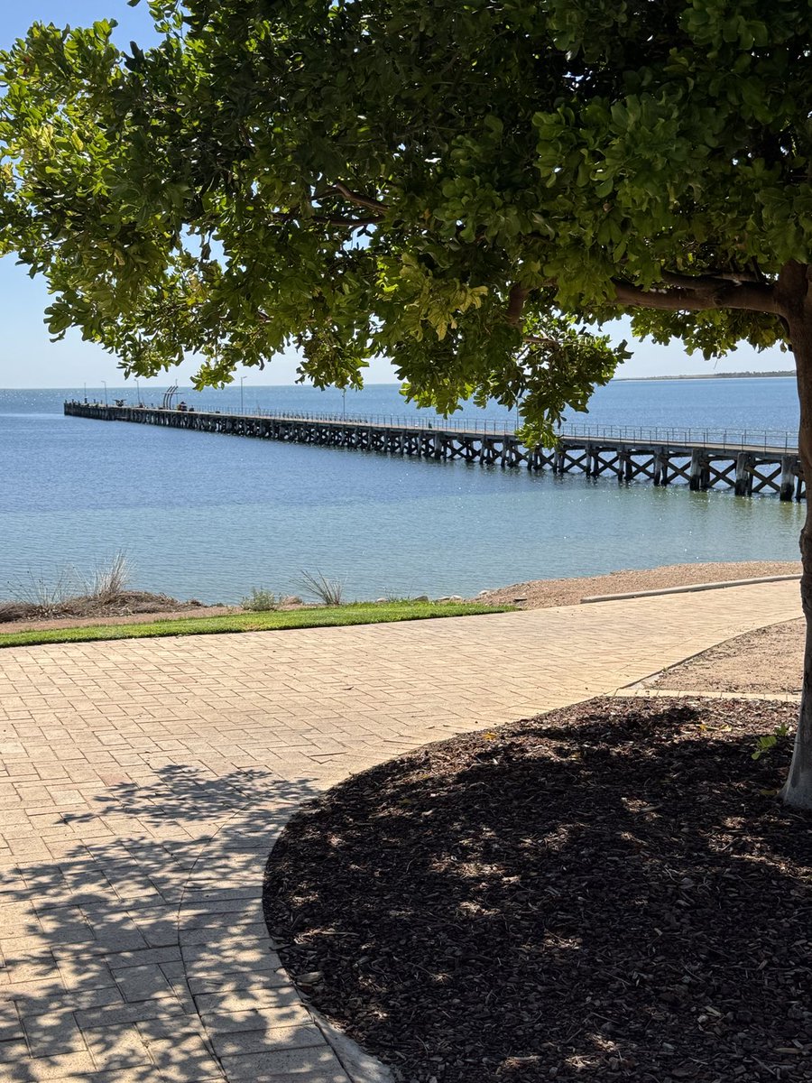 My office this afternoon a brilliant day here