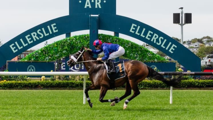 LOVERACING.NZ on X: 