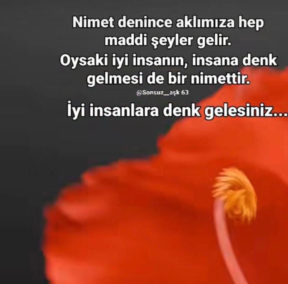 ENİŞTE tweet media