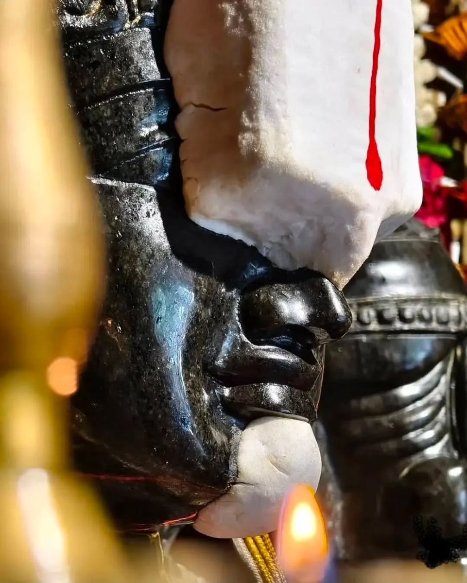 राकेश/ராகேஷ்/Raakesh🐦🚩 (@rdx98eshvar) on Twitter photo 