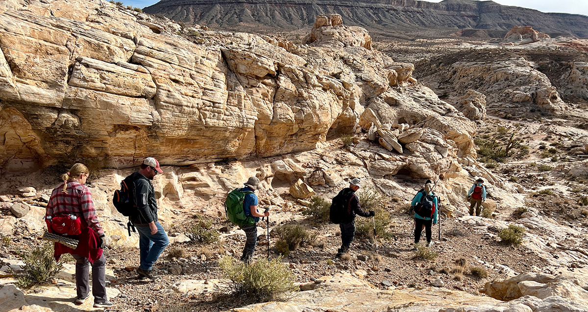 Reminder: iNaturalist training and the final week to double your impact! - mailchi.mp/friendsofgoldb…