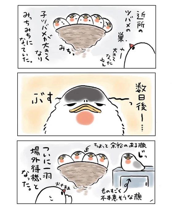 不定期佐渡日記(再掲)
そろそろ燕の季節です🐧 