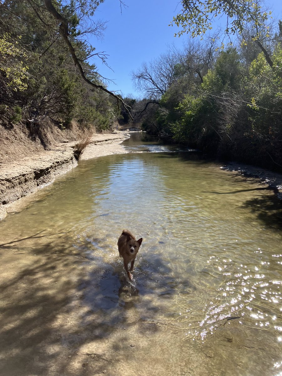 Rena “Signore Pane” Fuerbringer tweet media