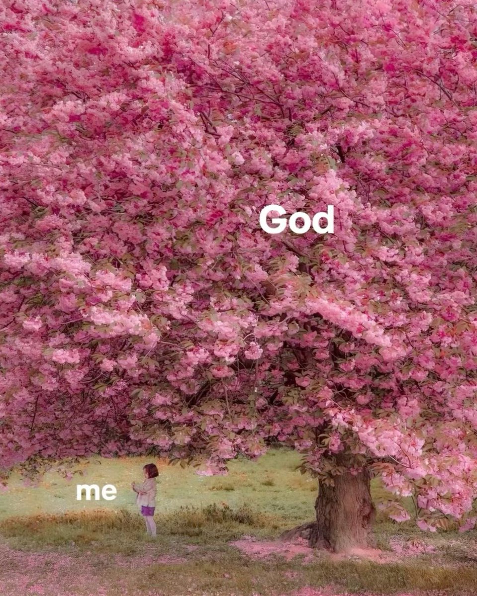 ˘͈ᵕ˘͈ tweet media