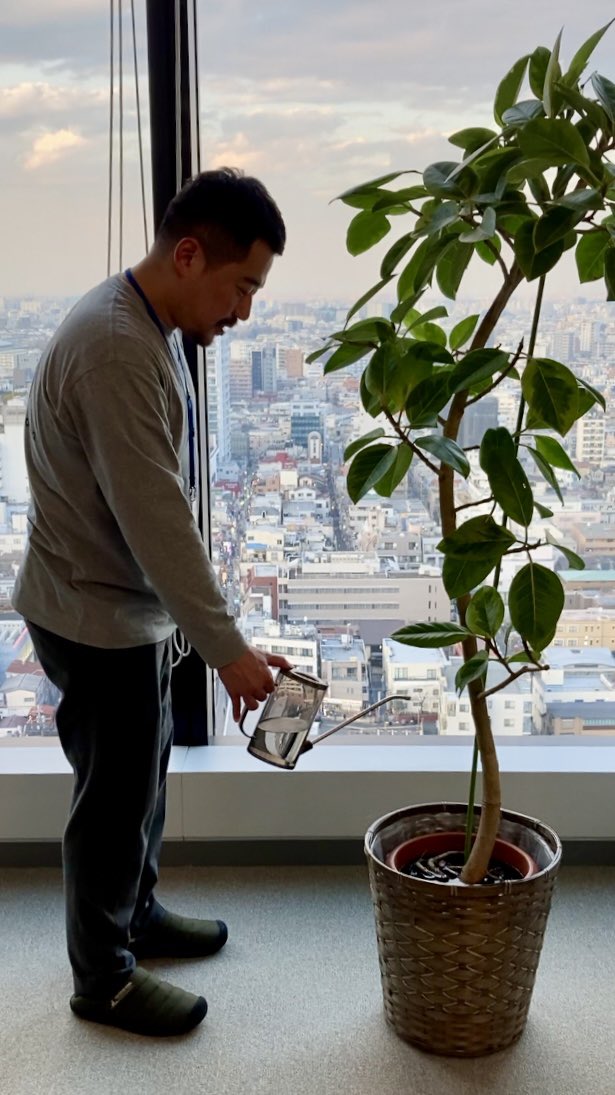 カフカの緑は弊社の阿比留が大切に育てています🌱癒し🌱