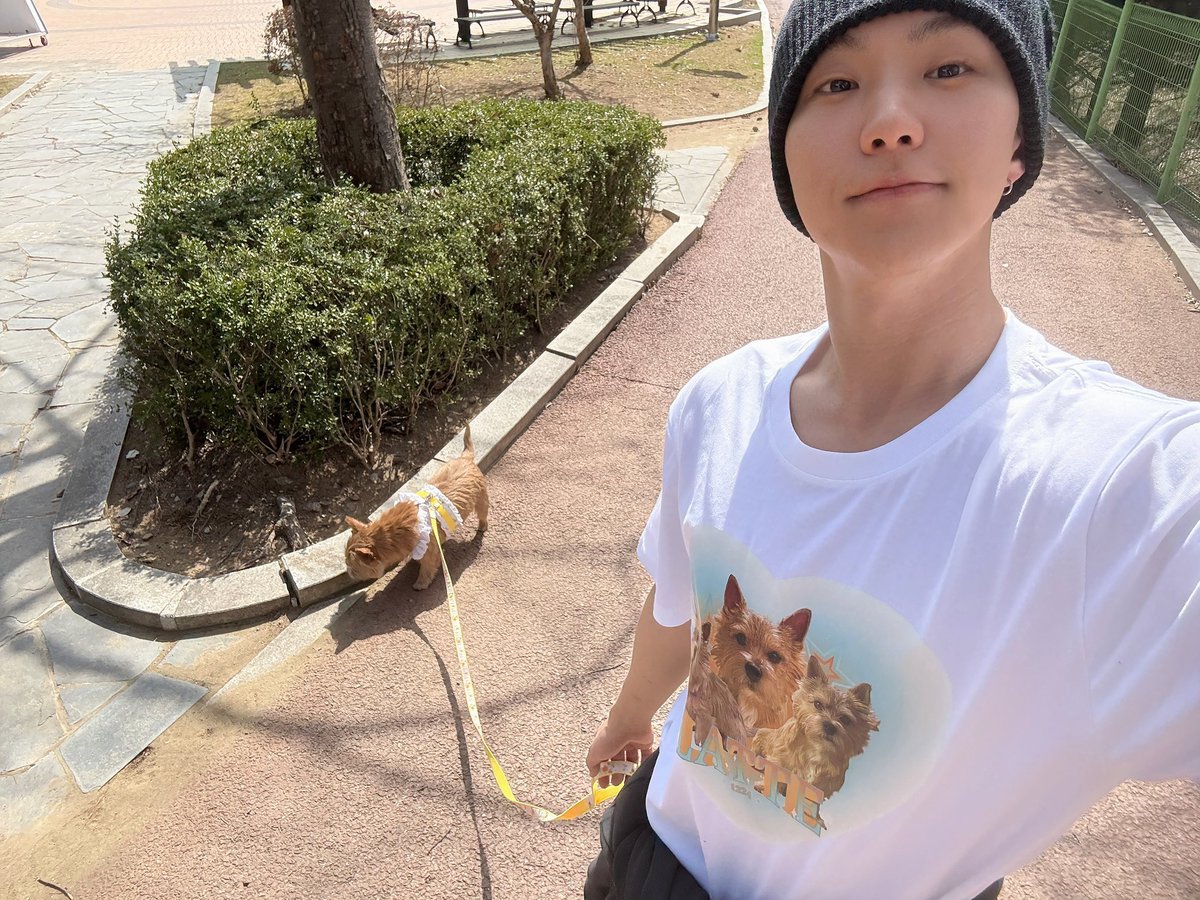 쿱정원 tweet media