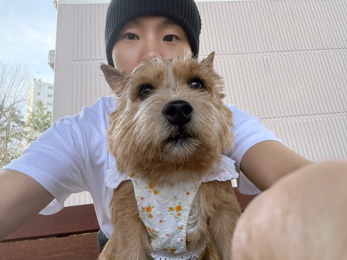 쿱정원 tweet media