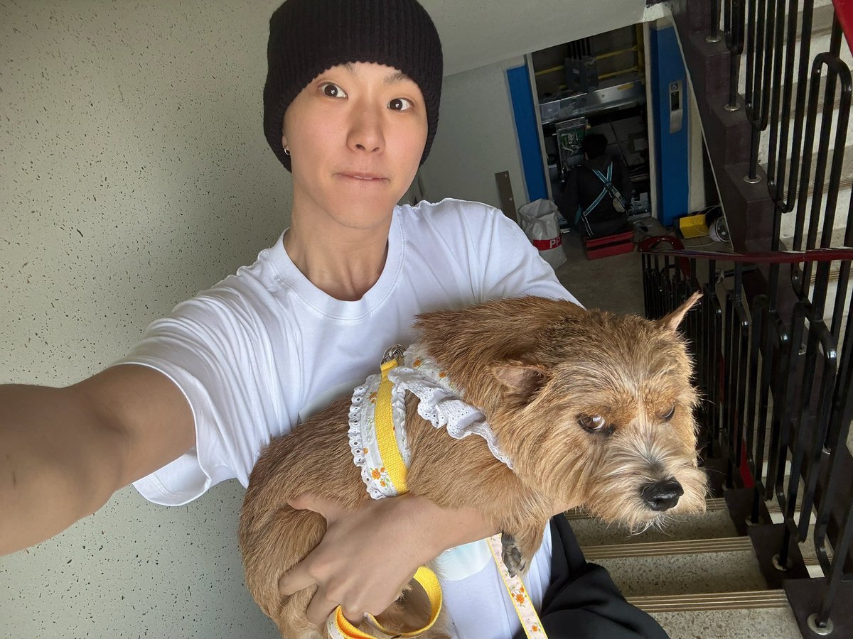 쿱정원 tweet media