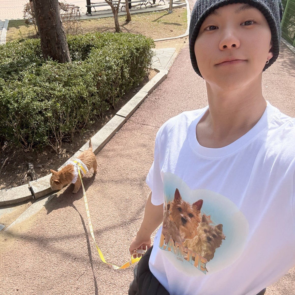이사진에 보이는 모든게무해하고 사랑스러우미🥺🥺