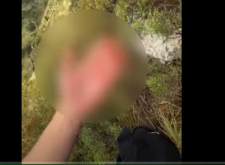 CliffordNe1601's tweet photo. video de morad filtrado el morad twitter full #filtrado
Video filtrado de Morad y Zara en Erome?, descubre el clip viral del rapero español y una mujer rubia que es tendencia en redes sociales
▶️⤵️
😱https://t.co/nd2xwhoXH8 https://t.co/kFZ8x5kBjF