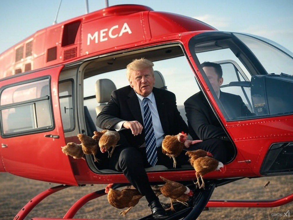 MECAonSol's tweet photo. @SecRollins Bringing egg prices down even if it takes personal hen delivery across the country 🫡 $MECA https://t.co/UE81BUyjSw