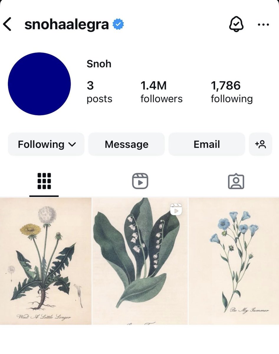 AndrewChibz's tweet photo. Snoh Aalegra cleared her profile and only left up her singles.. this could mean the album roll out is starting 👀 https://t.co/QLT4FxsdzM