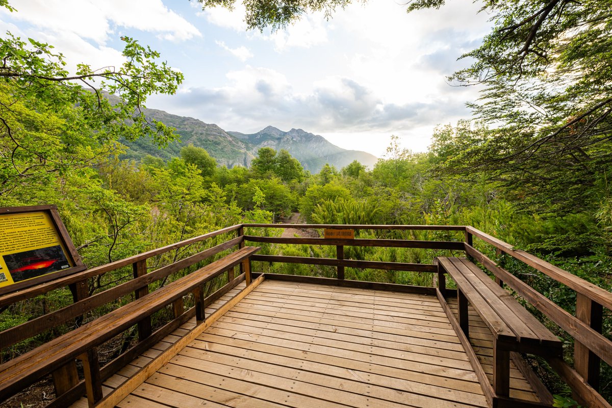 🏞️ El Valle Las Trancas. 
Ubicado a los pies de la majestuosa Cordillera de Los Andes, este valle ofrece un entorno impresionante de bosque nativo, alturas, cascadas y hermosos senderos naturales.
📍Región de Ñuble