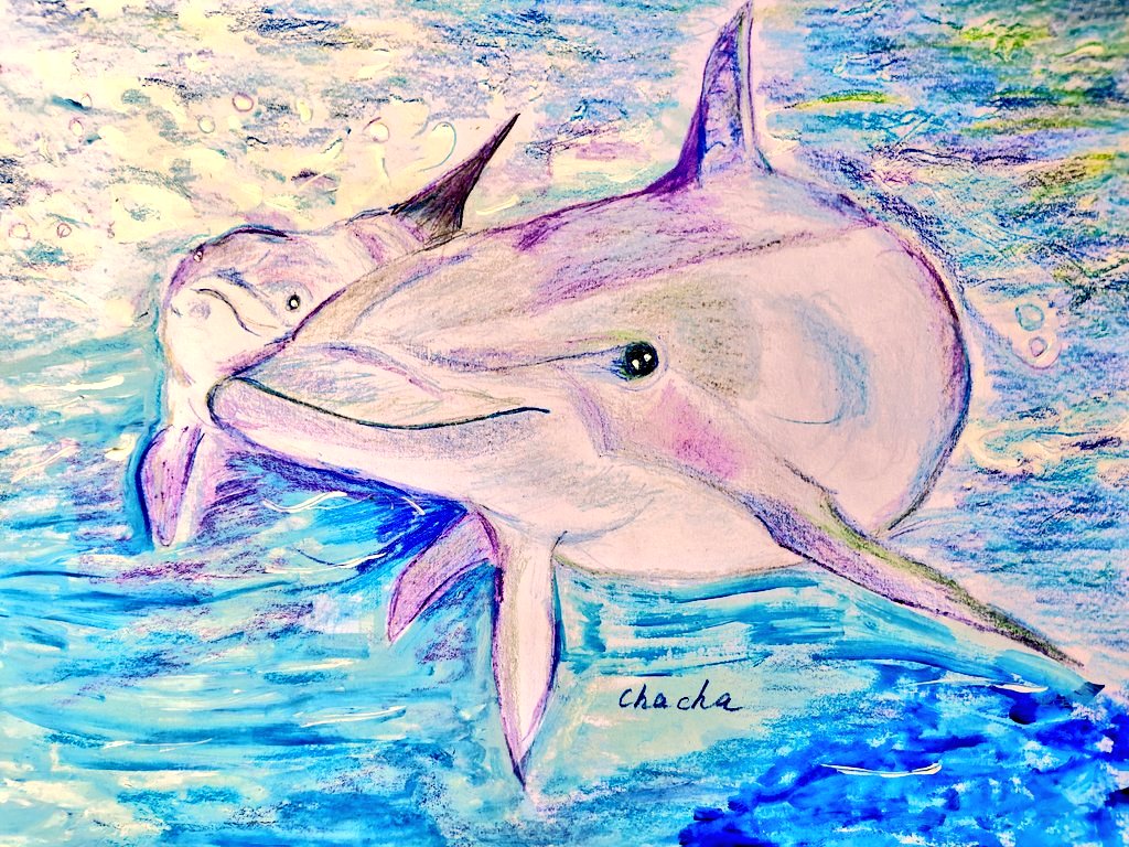 OHAChaCha's tweet photo. 💗スプレーデルフィニウム💗

　　　　  ﾊﾅｺﾄﾊﾞ

『 あなたは幸福をふりまく 』

ギリシャ語
デルフィン（ｲﾙｶ🐬)に
ちなんで
名付けられました

青や水色の
デルフィニウムには
『あなたを幸せにします』という
花言葉が託されてます

ピンクのデルフィニウムは
見つけたんだけど…👉👈（笑） https://t.co/B2qfTgwNZ0
