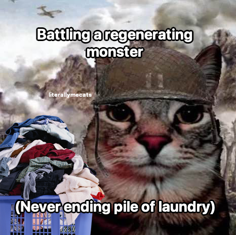 literallymecats's tweet photo. laundry https://t.co/DHE7cGg0qy