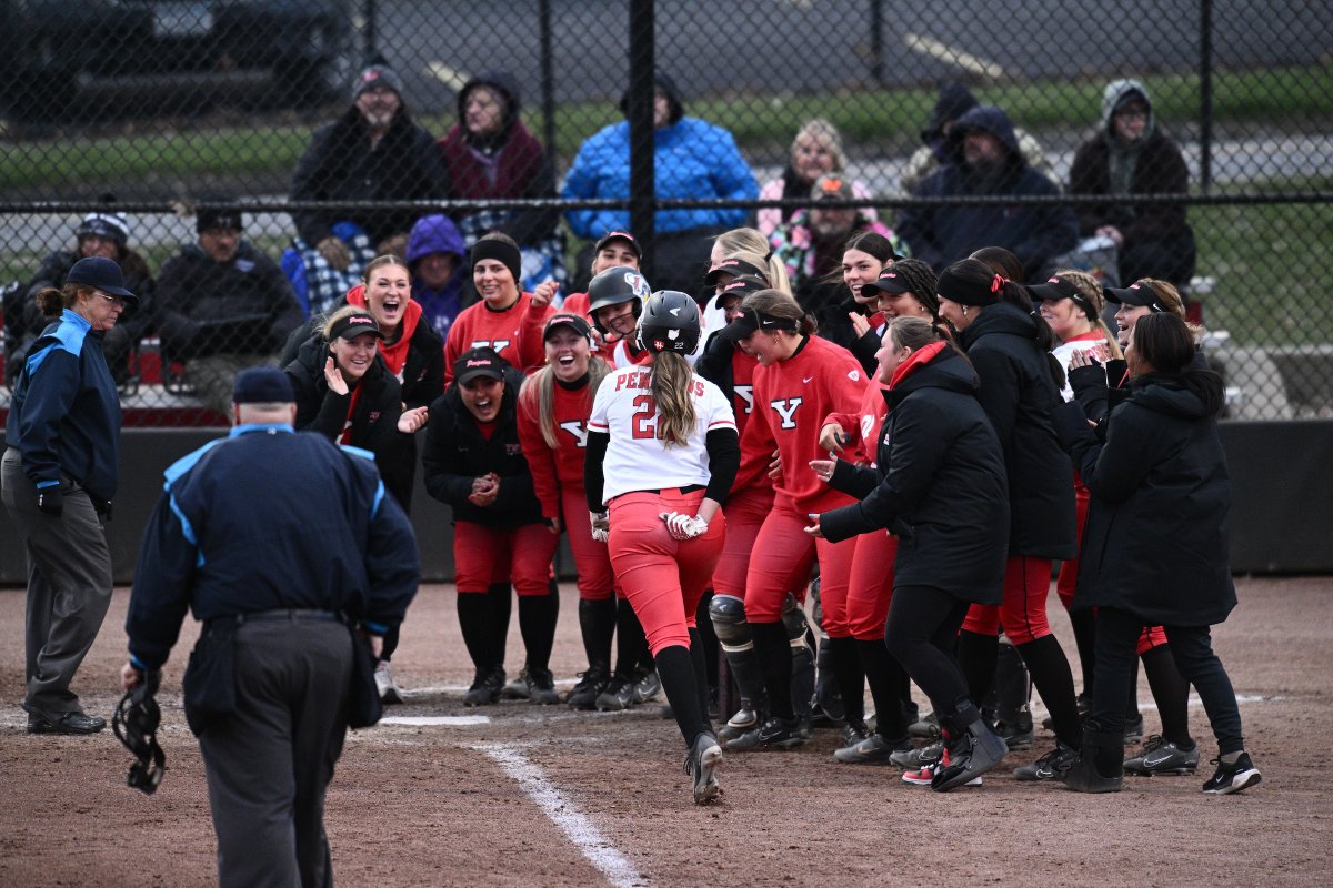 Youngstown State Softball 🐧 tweet media