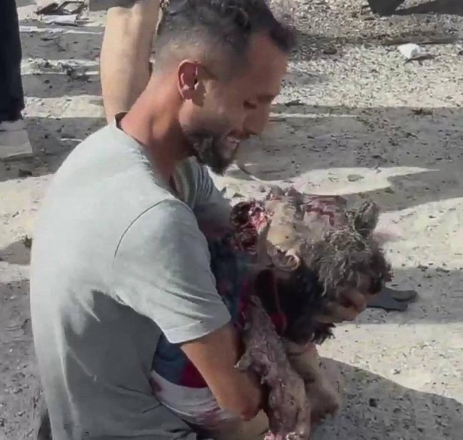 محمد المختار الشنقيطي tweet media