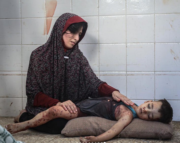 محمد المختار الشنقيطي tweet media