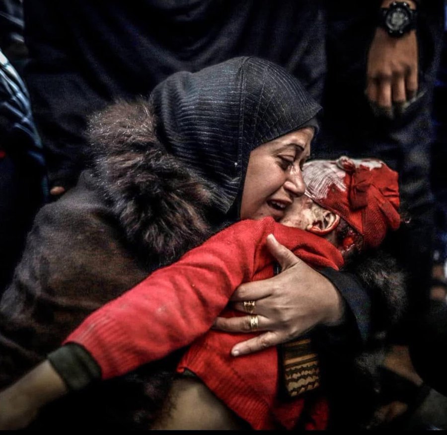 محمد المختار الشنقيطي tweet media