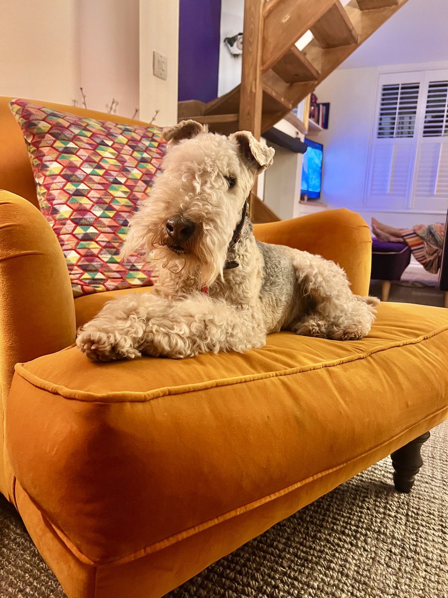 Bertie Lakeland tweet media