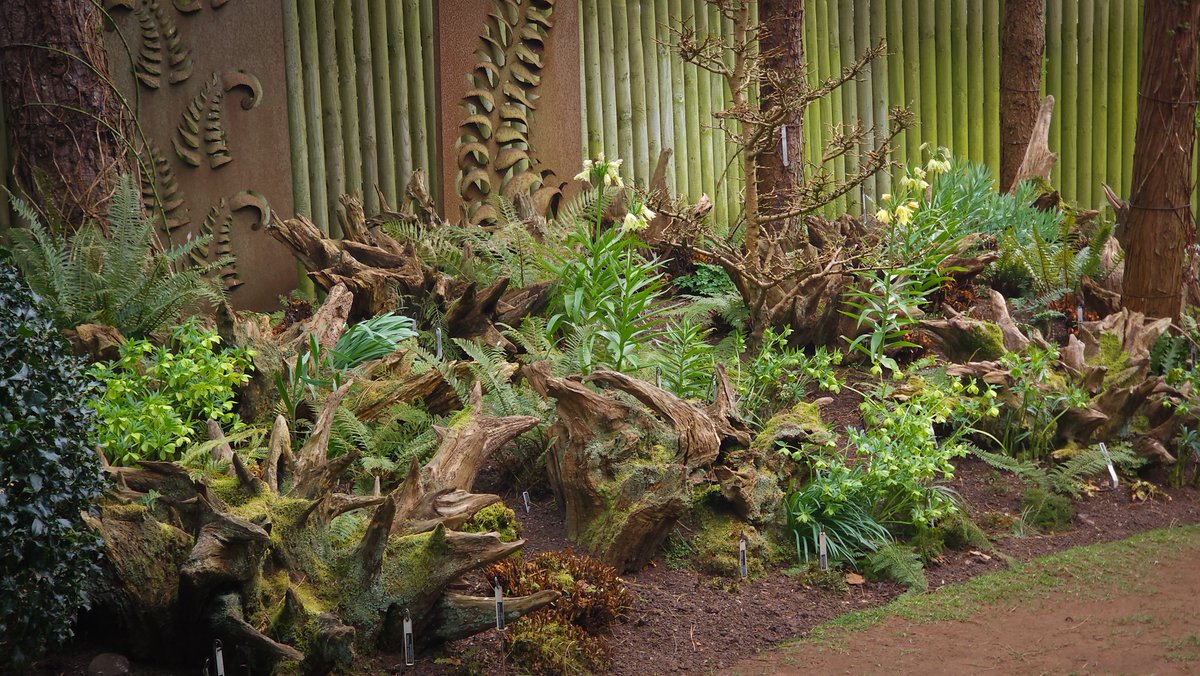 Chris Howell tweet media