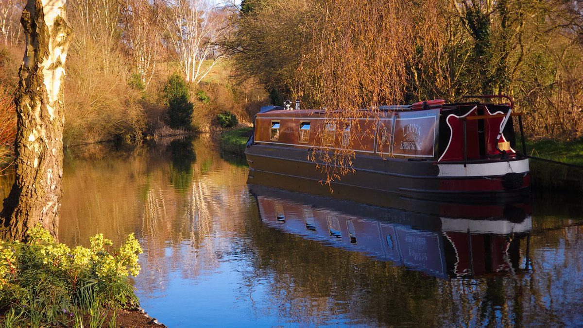 John's Garden at Ashwood, open every Saturday <a href="/JohnsGardenAsh/">John's Garden</a>