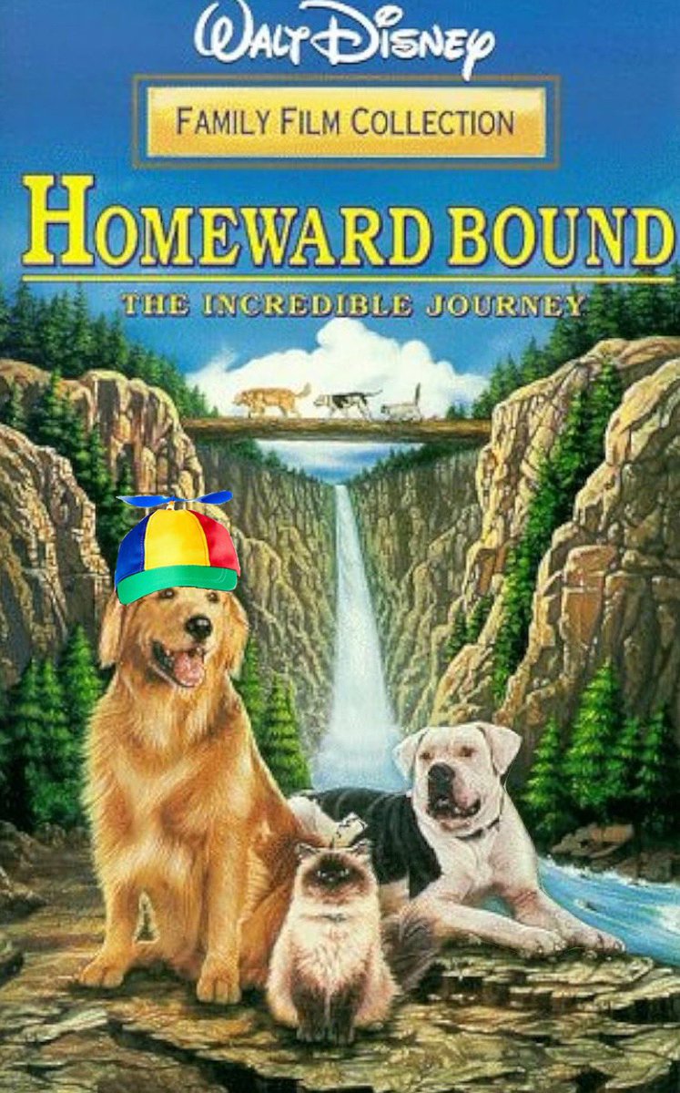 Lord of $WOF 🤫 🥷 tweet media